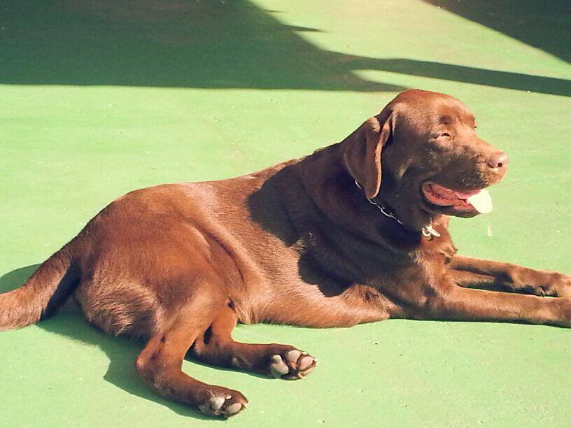 tomando sol na zorikao