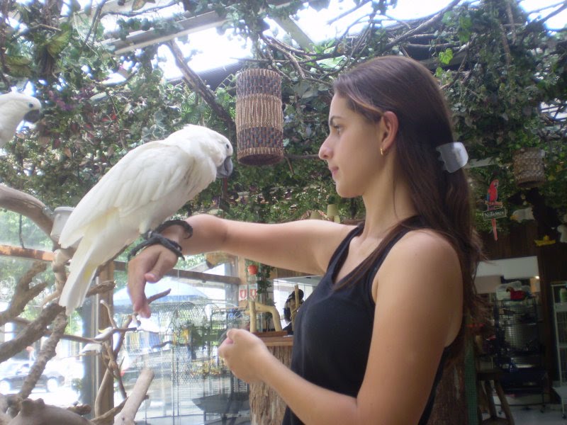 Adestramento Cacatua