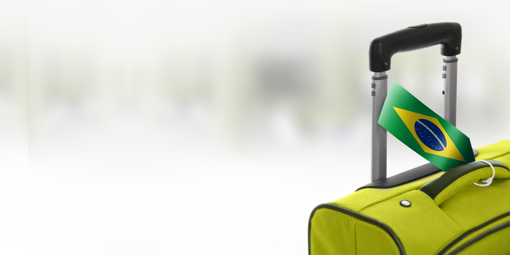 Hotel para cães - Feriado 7 setembro