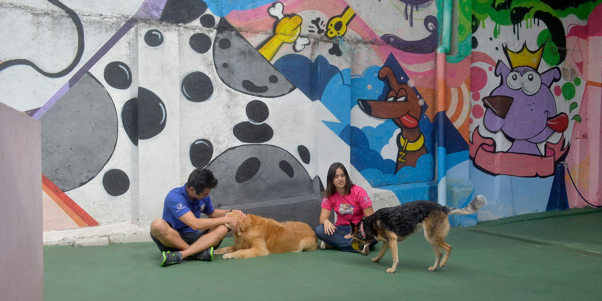 Curso Recreador de Cães